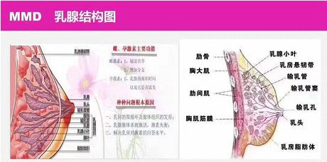 QQͼƬ20181029165352.png